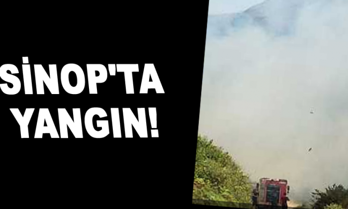 Sinop’ta yangın!