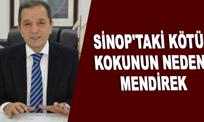 Sinop’taki kötü kokunun nedeni mendirek