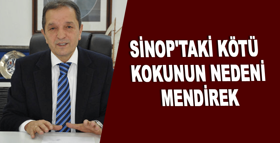 Sinop’taki kötü kokunun nedeni mendirek