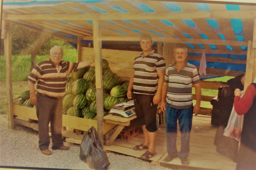 Sinop’un ilk yerli karpuzları çıktı