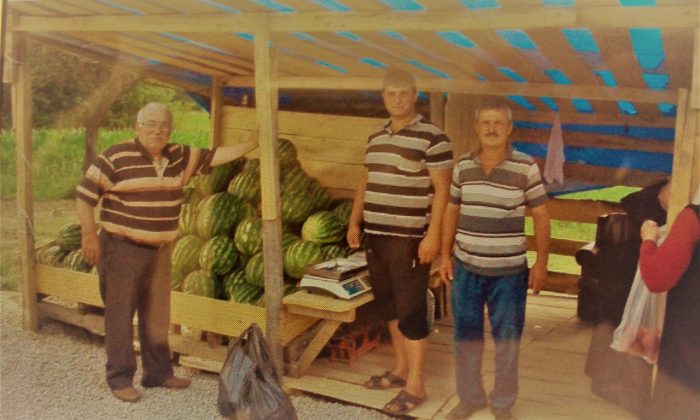 Sinop’un ilk yerli karpuzları çıktı