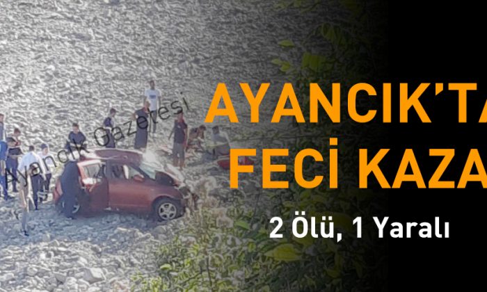 Ayancık’ta Trafik Kazası; 2 Ölü, 1 Yaralı