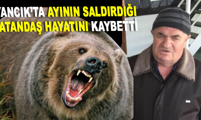 Ayının Saldırdığı Vatandaş Hayatını Kaybetti