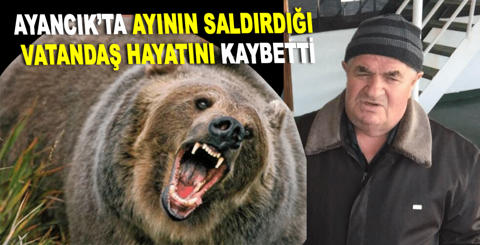 Ayının Saldırdığı Vatandaş Hayatını Kaybetti