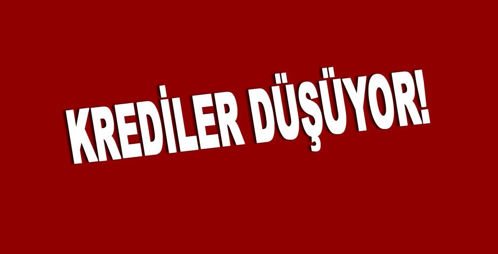 Krediler Düşüyor!