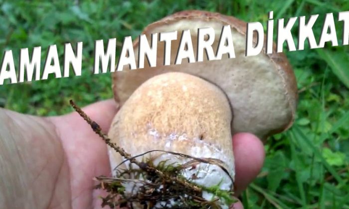 Aman Mantara Dikkat!