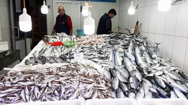 Balıkçı tezgahları doldu taştı