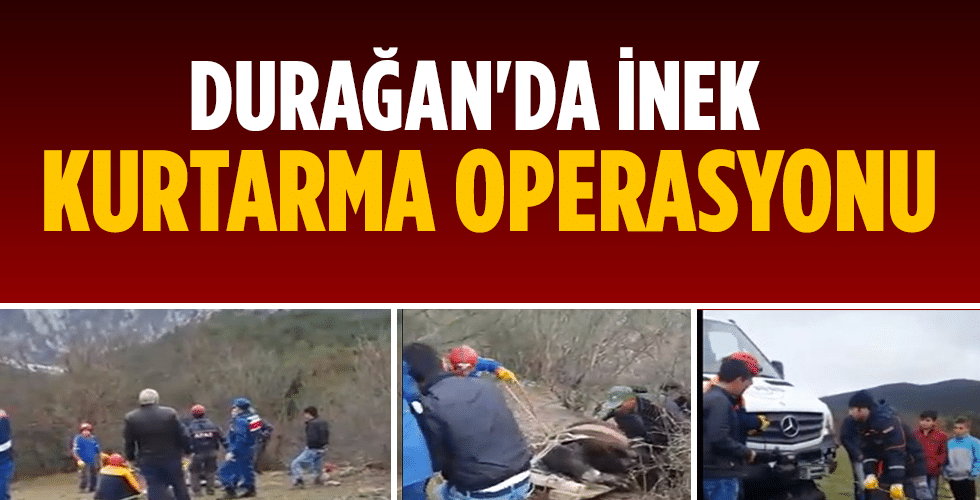 Durağan’da inek kurtarma operasyonu