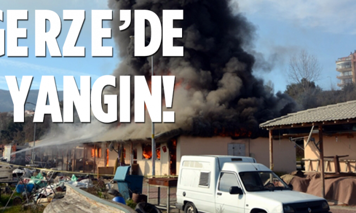 Gerze’de Yangın Paniği