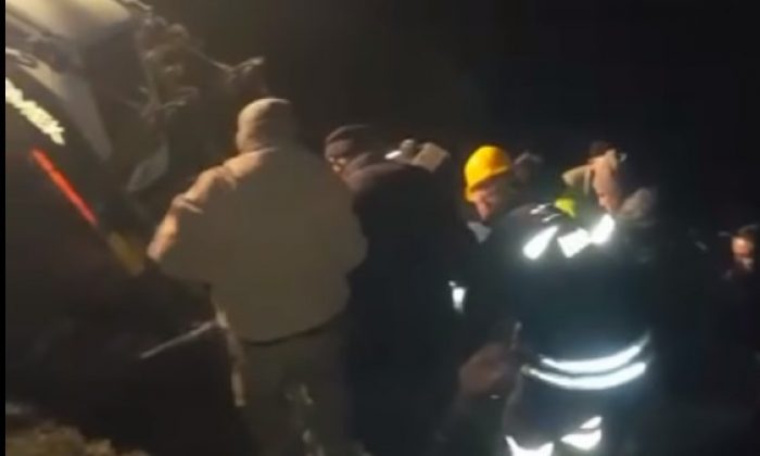 Gerze’de Sığır Dereye Yuvarlandı