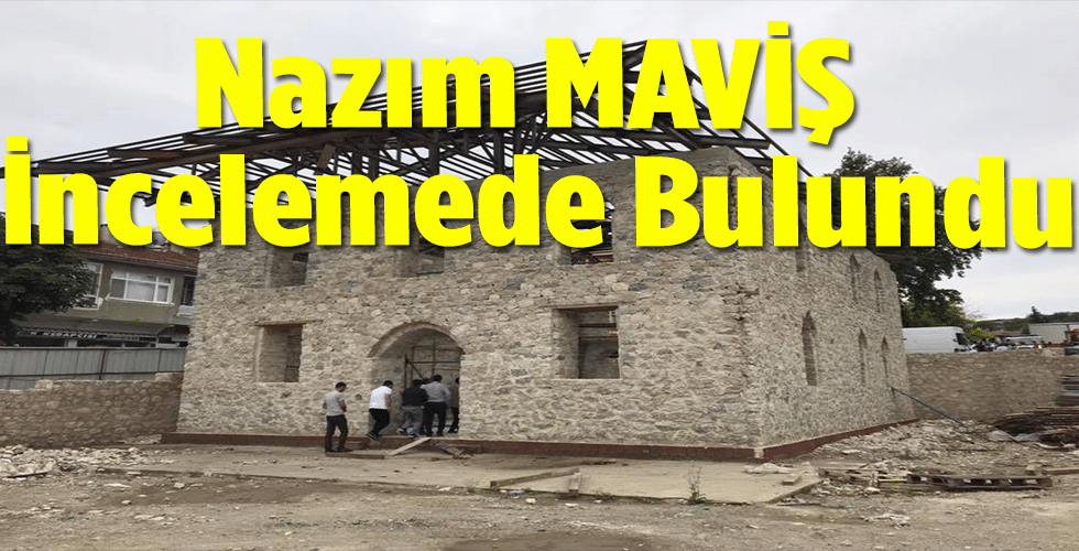 Nazım Maviş  İncelemerde Bulundu