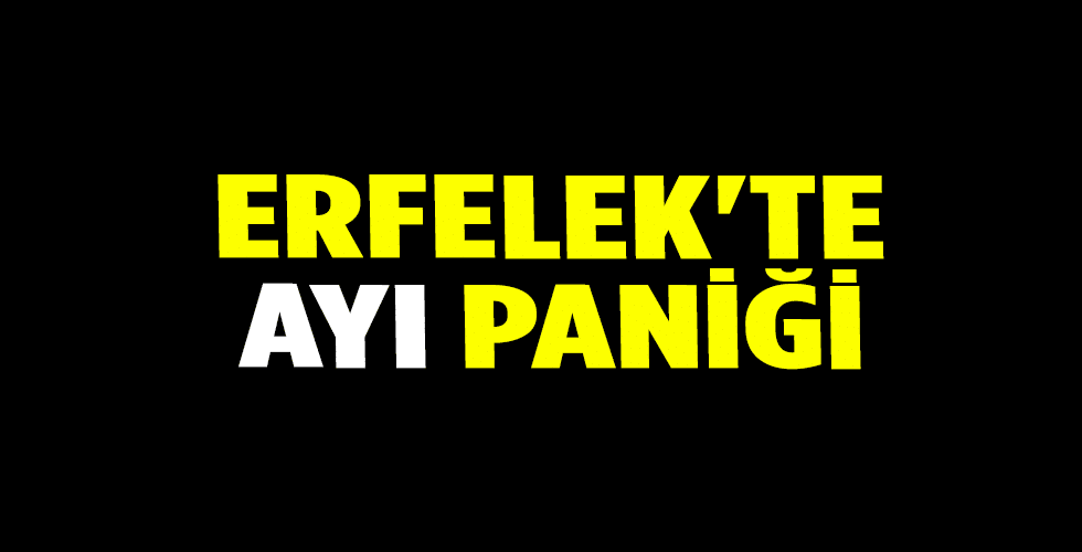 Erfelek’te Ayı Paniği