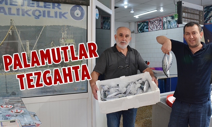 Palamutlar Tezgahlara Düştü