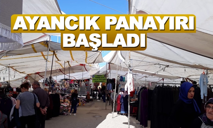 Geleneksel Ayancık Panayırı Başladı