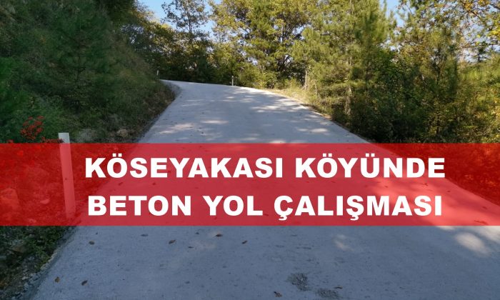 Köseyakası Köyünde İncelemelerde Bulunuldu