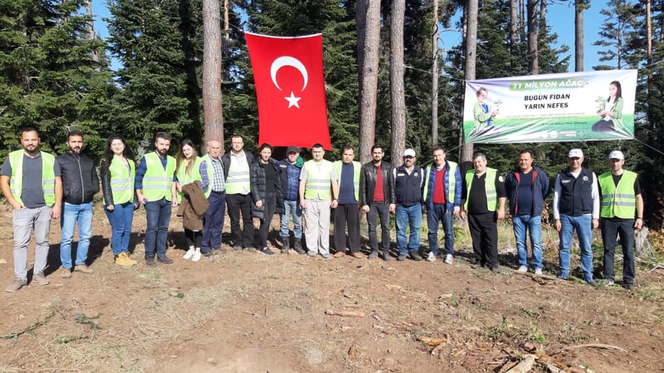 Ayancık’ta 15 bin yediyüz fidan dikildi