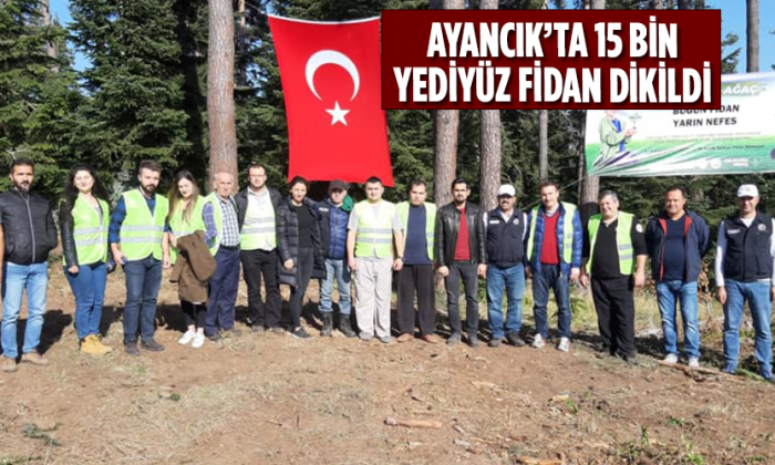 Ayancık’ta 15 bin yediyüz fidan dikildi