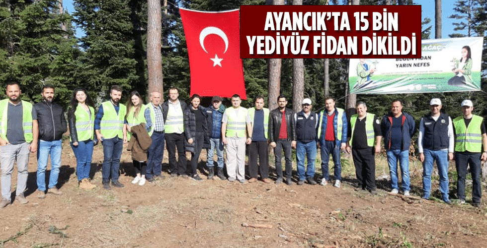 Ayancık’ta 15 bin yediyüz fidan dikildi