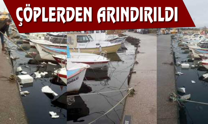 Çöplerden Arındırıldı