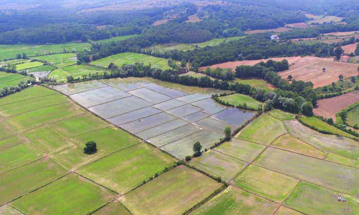 Sinop İlimizde 66 Bin 720 Dekar Tarım Arazisi Sulanmaya Başladı