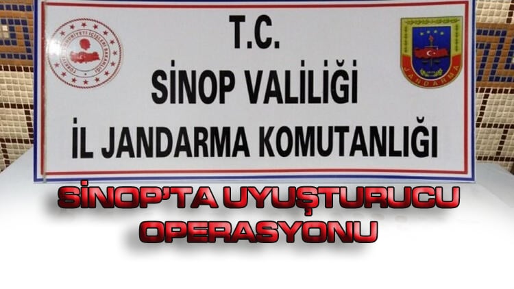 SİNOP’TA YASA DIŞI KENEVİR EKİMİ