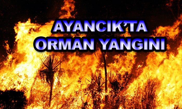 AYANCIK’TA ORMAN YANGINI