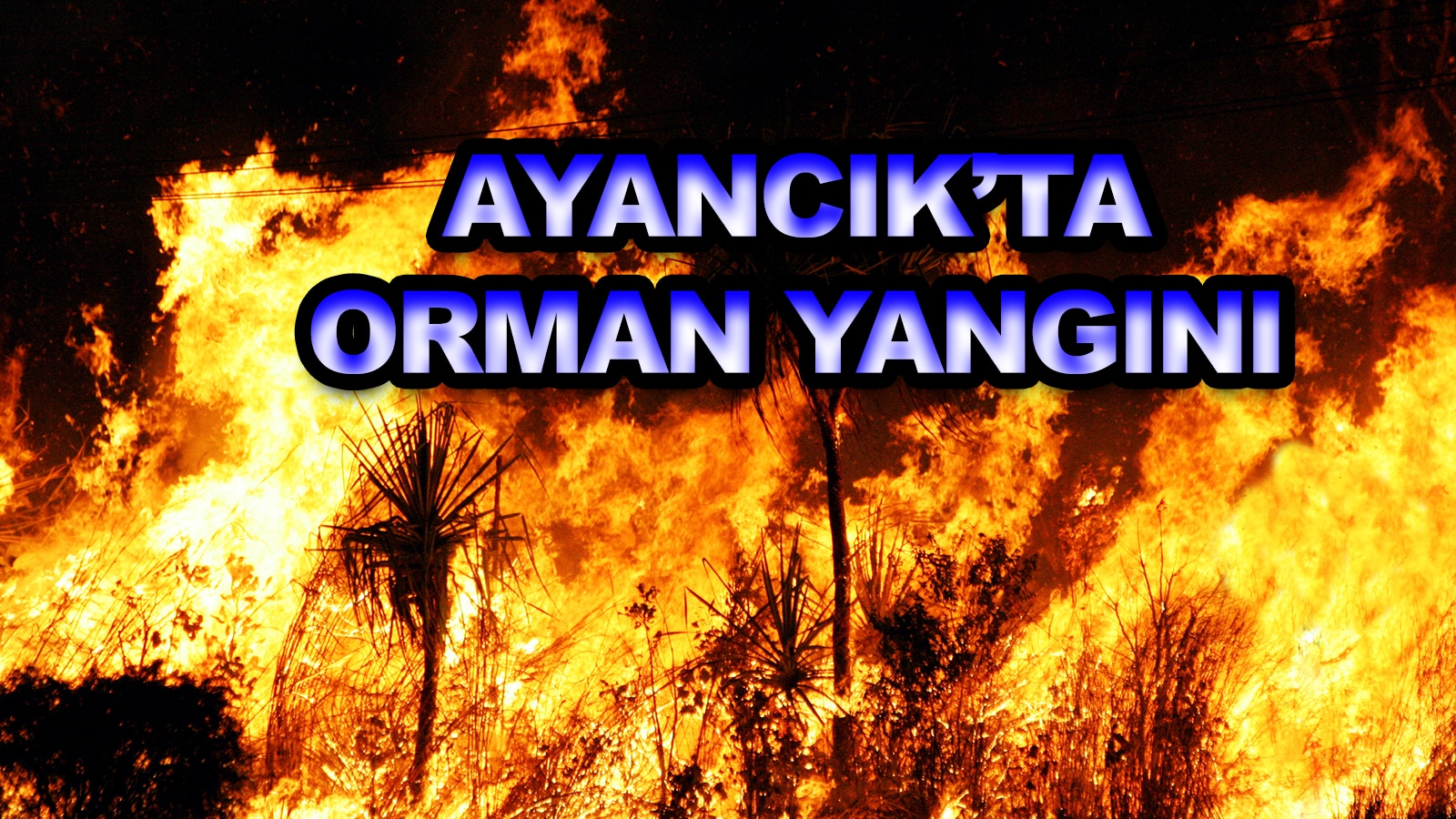 AYANCIK’TA ORMAN YANGINI