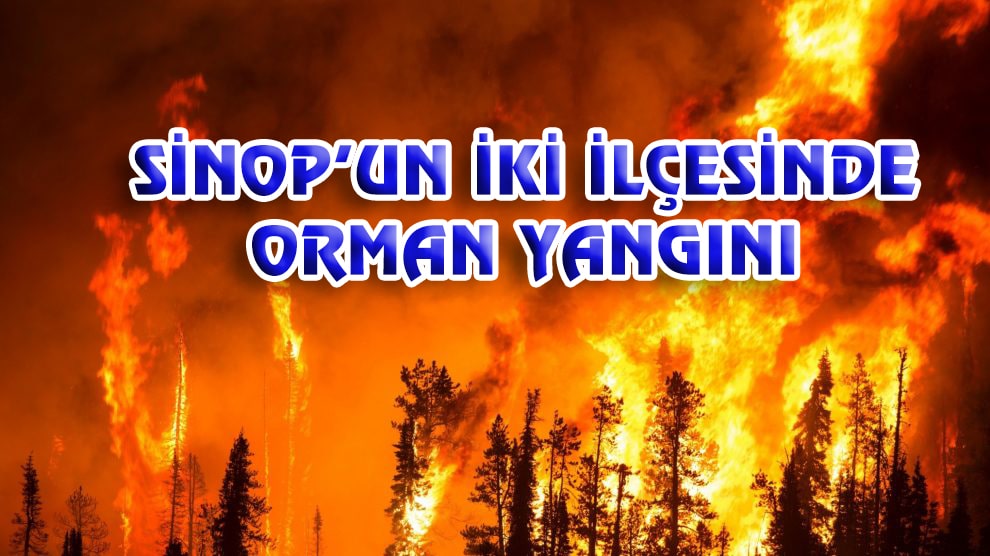 SİNOP’UN İKİ İLÇESİNDE ORMAN YANGINI