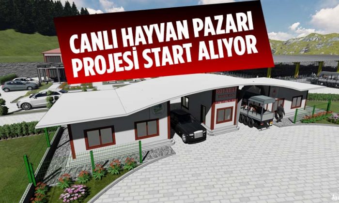 Canlı Hayvan Pazarı projesi start alıyor
