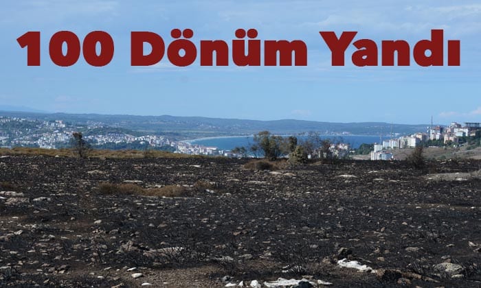 Sinop Adasında 100 Dönümlük Alan Yandı