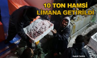 Sinop’tan Açılan Balıkçılar 10 Ton Hamsiyle Döndü