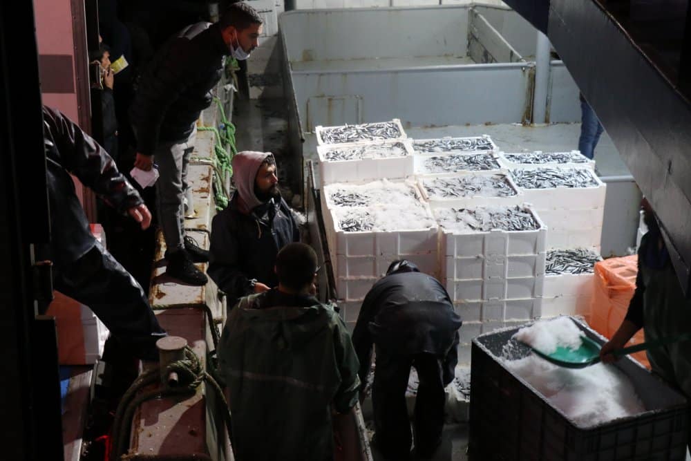 Sinop'tan Açılan Balıkçılar 10 Ton Hamsiyle Döndü