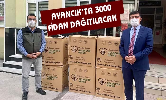 Ayancık’ta 3000 fidan dağıtıldı