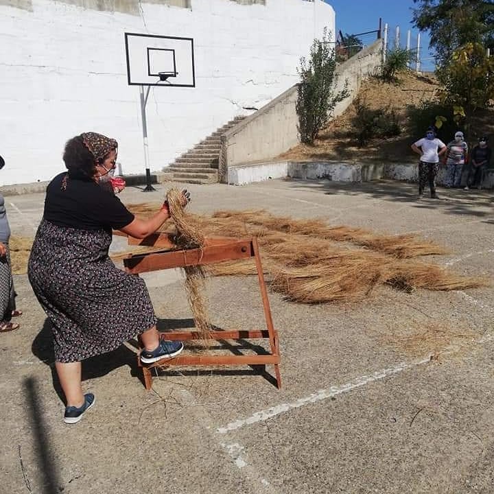 Ayancık Keteni Gün Yüzüne Çıkıyor