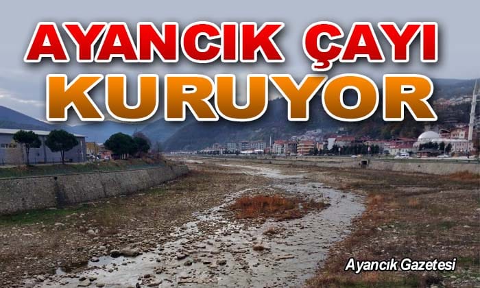 Ayancık Çayı Kuruma Noktasına Geldi