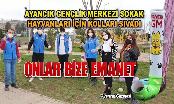 Ayancık Gençlik Merkezi sokak hayvanları için kolları sıvadı