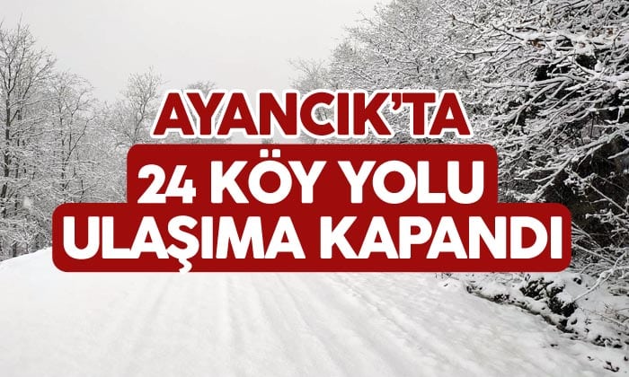 Ayancık’ta 24 Köy Yolu Ulaşıma Kapandı