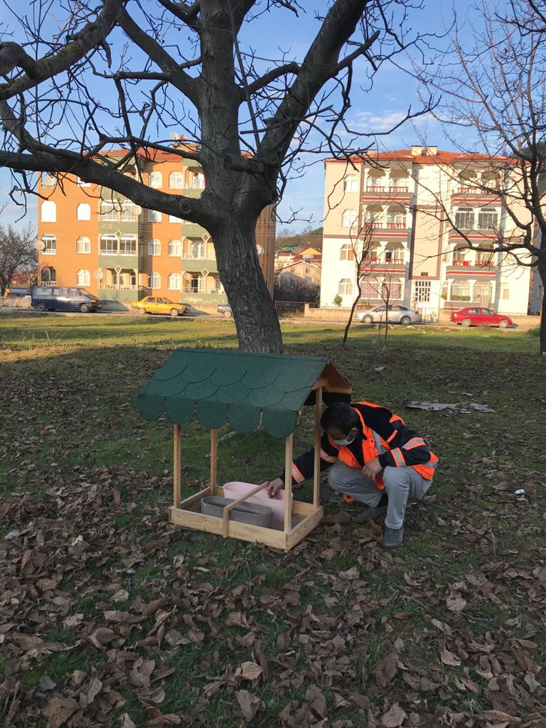 Ayancık'ta Can Dostlarımız Yalnız Bırakılmıyor