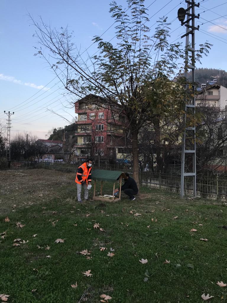 Ayancık'ta Can Dostlarımız Yalnız Bırakılmıyor