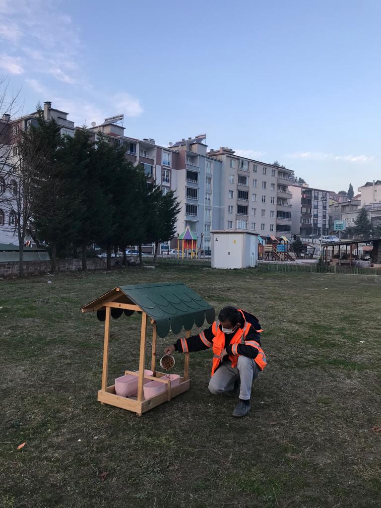 Ayancık'ta Can Dostlarımız Yalnız Bırakılmıyor