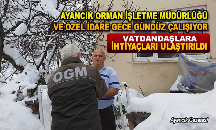 Ayancık Orman İşletme Müdürlüğü ve Özel İdare Gece Gündüz Çalışıyor