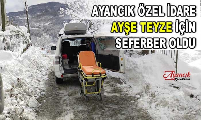 Ayancık’ta Özel İdare Ekipleri Ayşe Teyze için seferber olundu