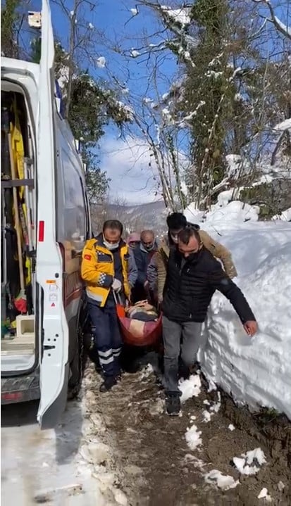 Elbirliğiyle araca taşıdılar