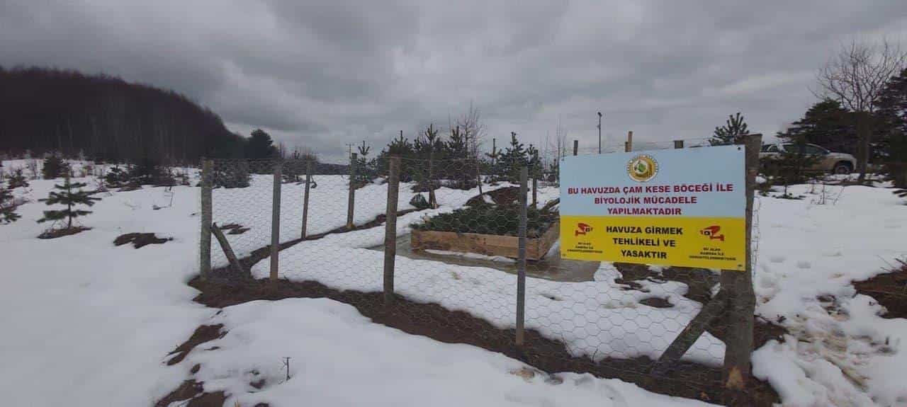 ÇAMLARIMIZ KORUMA ALTINDA