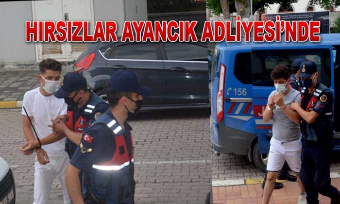 Ayancık’ta Hırsızlar Yakalandı