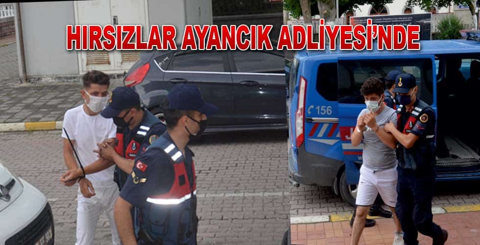 Ayancık’ta Hırsızlar Yakalandı