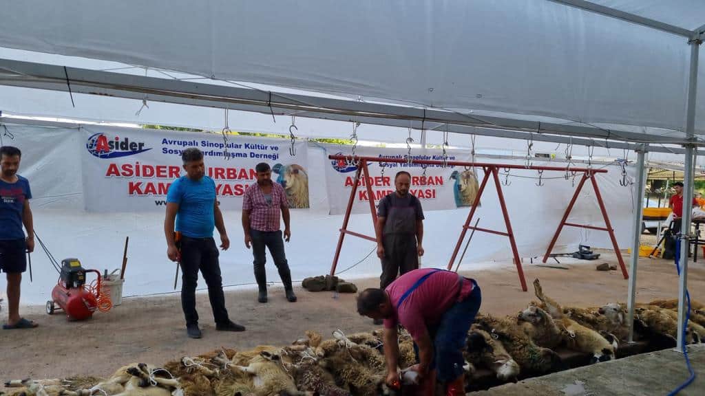 ASiDER Sinop’ta 100 kurban kesti