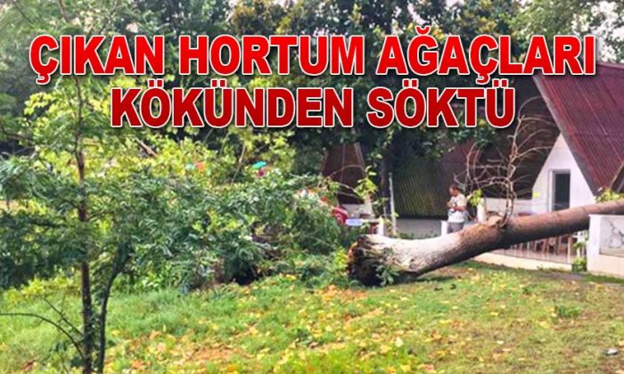 ÇIKAN HORTUM SOSYAL TESİSİ VURDU