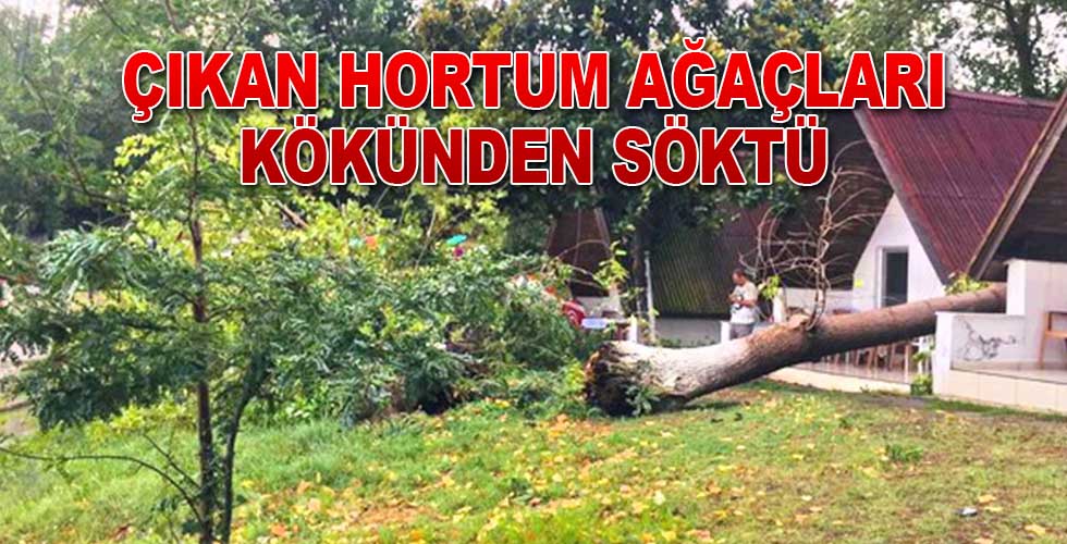 ÇIKAN HORTUM SOSYAL TESİSİ VURDU