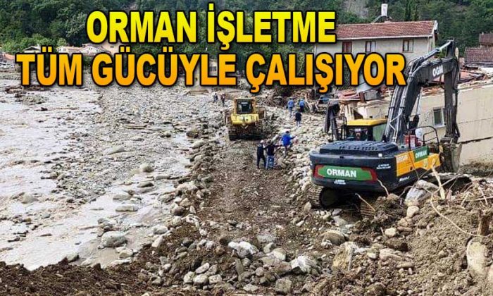 Orman İşletme Tüm Gücüyle Çalışıyor